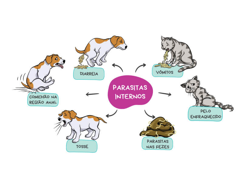 Quais são os sinais mais comuns de uma infeção por parasitas internos?
